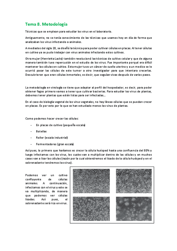 Miniatura del documento VIROLOGIA.pdf