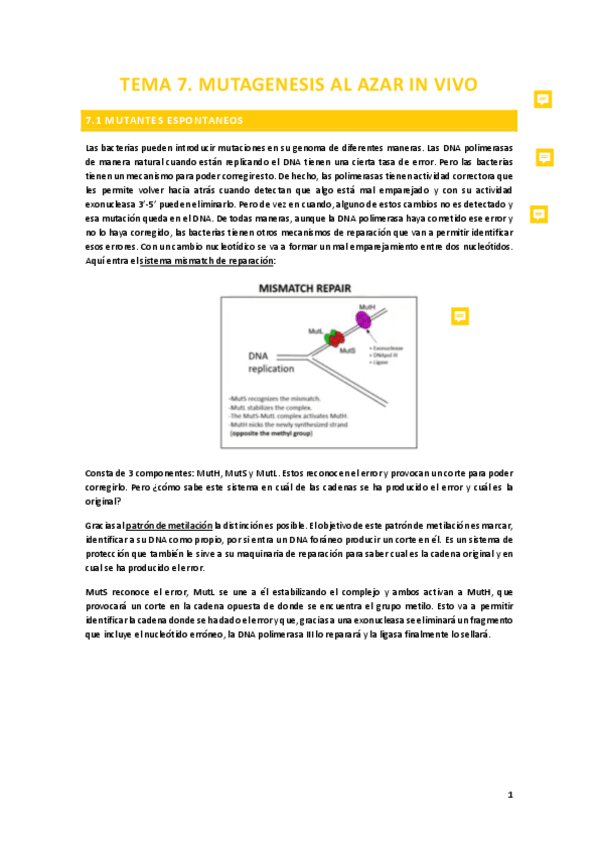 Miniatura del documento Tema-7.-Mutagenesis-al-azar-in-vivo.pdf