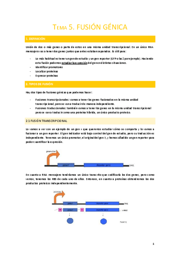 Miniatura del documento Tema-5.-Fusion-genica.pdf