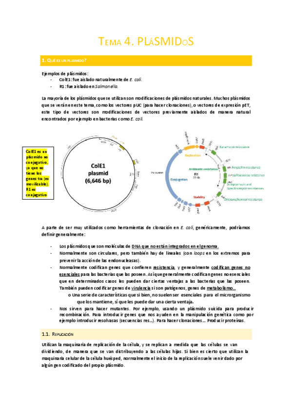 Miniatura del documento Tema-4.-Plasmidos.pdf