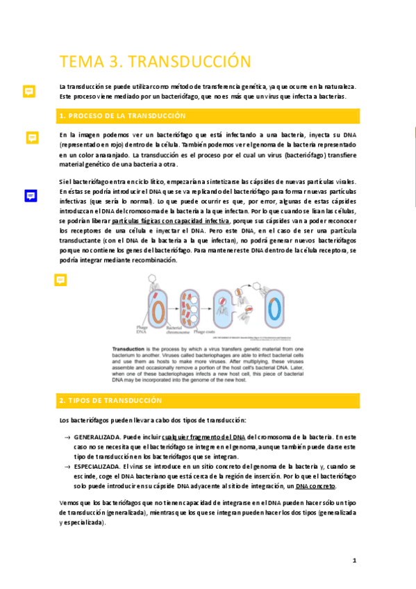 Miniatura del documento Tema-3.-Transduccion.pdf