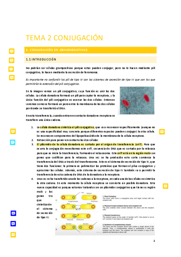 Miniatura del documento Tema-2.-Conjugacion-EGM.pdf