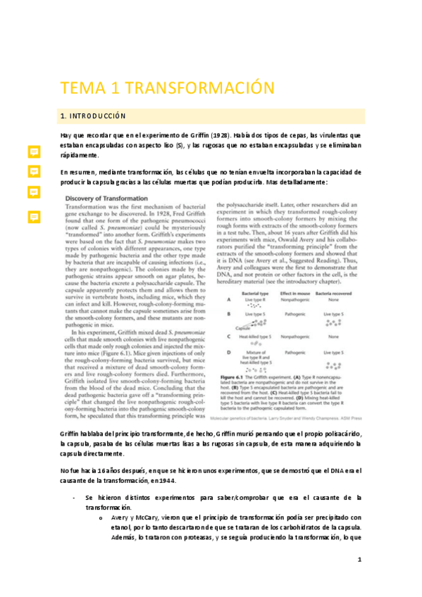 Miniatura del documento Tema-1.-Transformacion.pdf