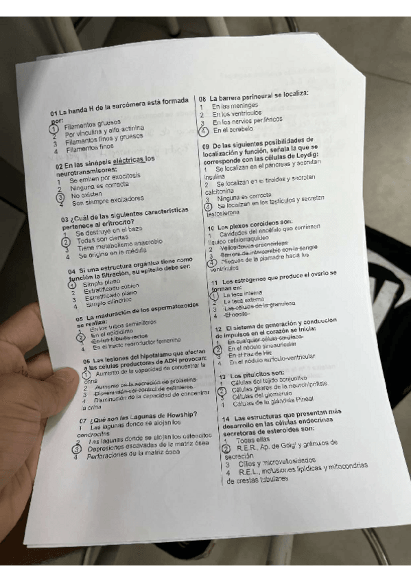 Miniatura del documento FOTOS-DE-EXAMENES-.pdf