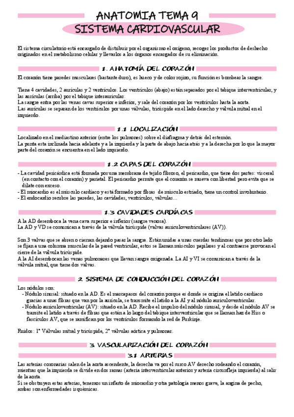 Miniatura del documento Anatomía tema 9.1.pdf