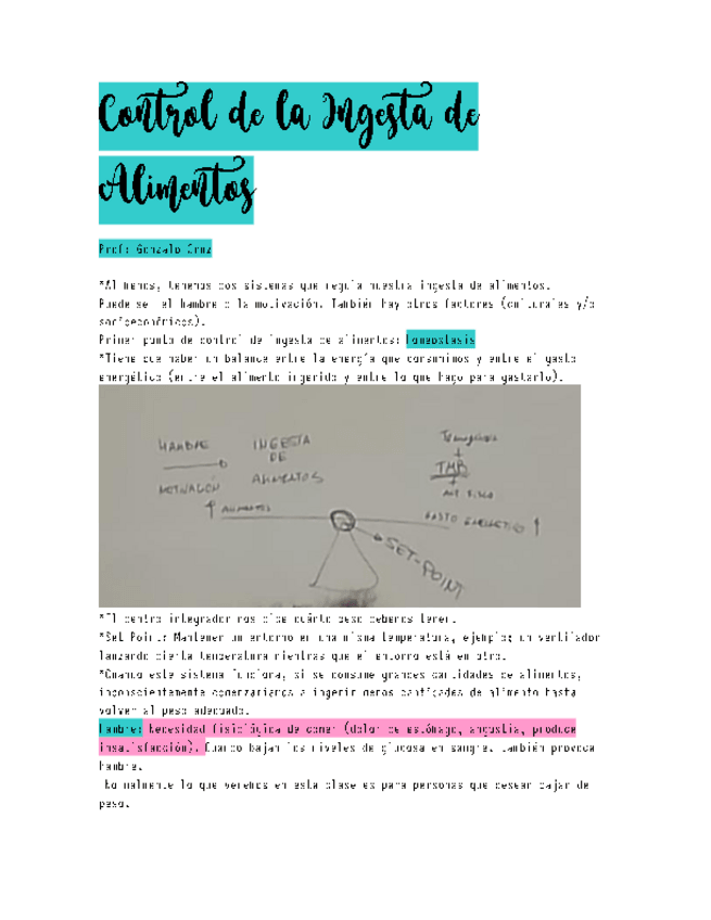 Miniatura del documento Control-de-la-Ingesta-de-Alimentos.pdf