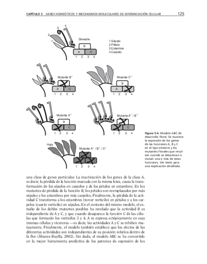 Miniatura del documento bma-34.pdf