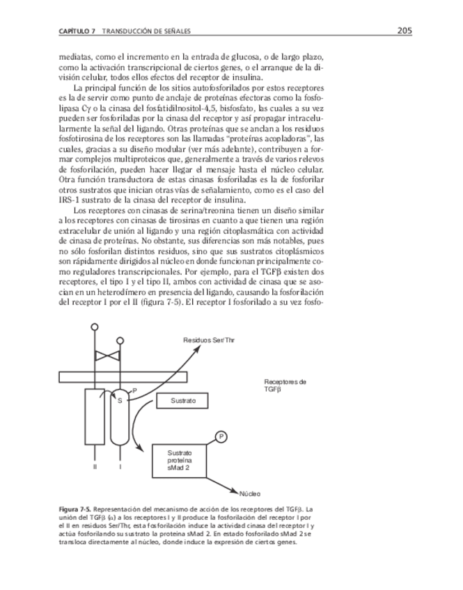 Miniatura del documento bma-50.pdf