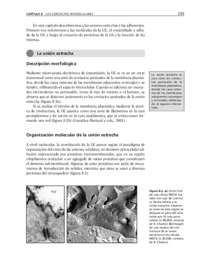 Miniatura del documento bma-56.pdf