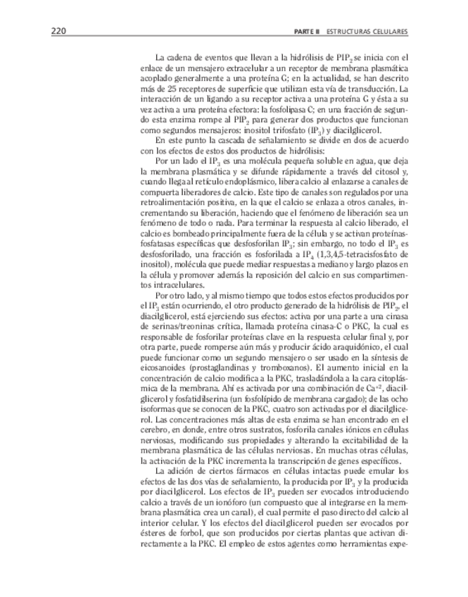 Miniatura del documento bma-53.pdf