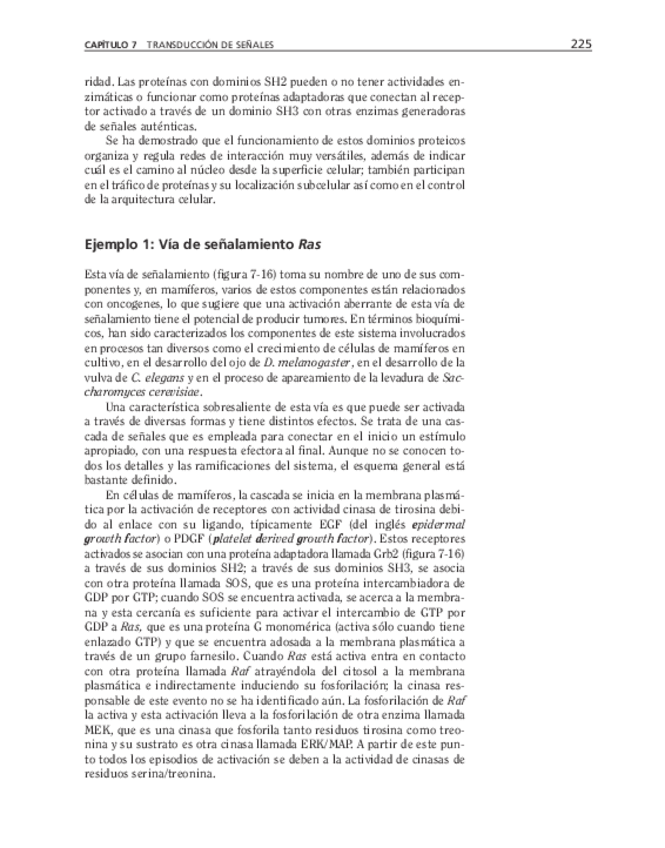 Miniatura del documento bma-54.pdf
