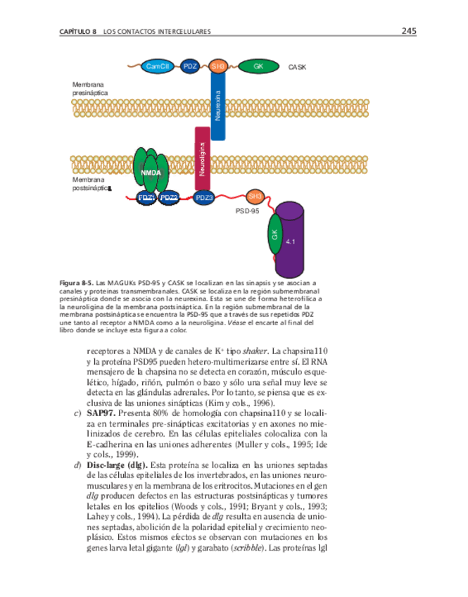 Miniatura del documento bma-58.pdf