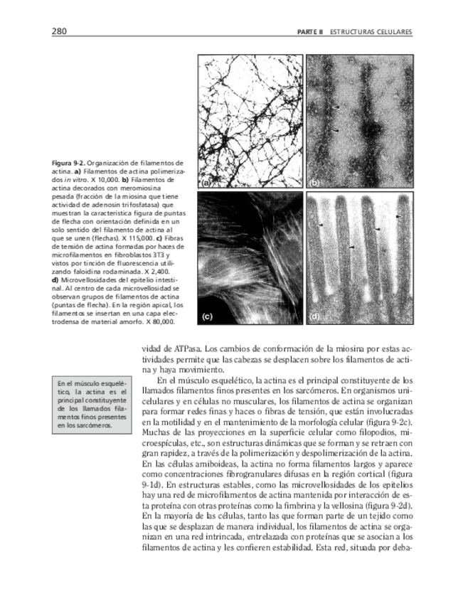 Miniatura del documento bma-65.pdf