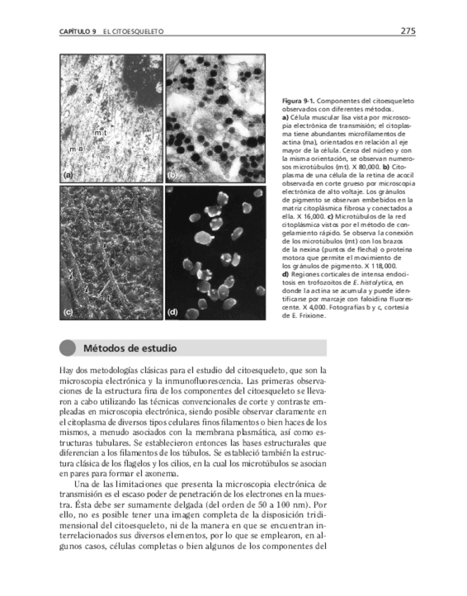 Miniatura del documento bma-64.pdf