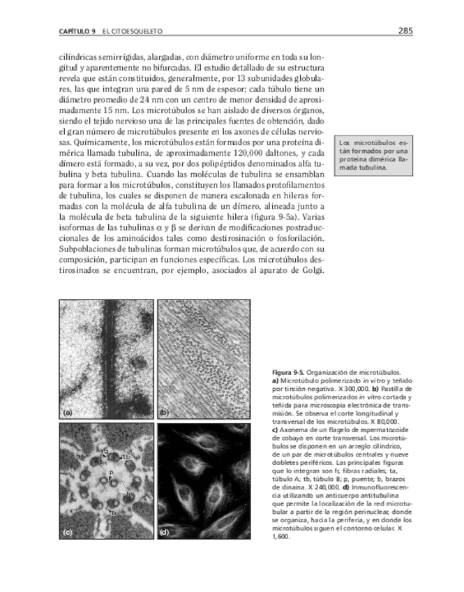 Miniatura del documento bma-66.pdf