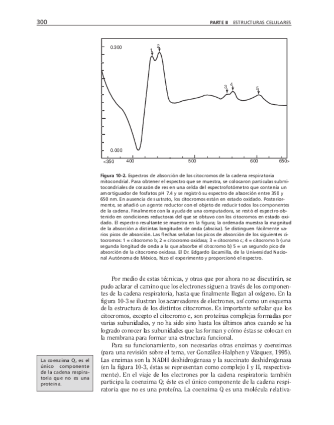 Miniatura del documento bma-69.pdf