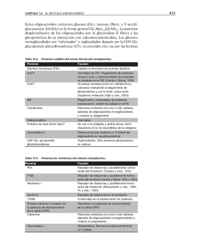Miniatura del documento bma-96.pdf
