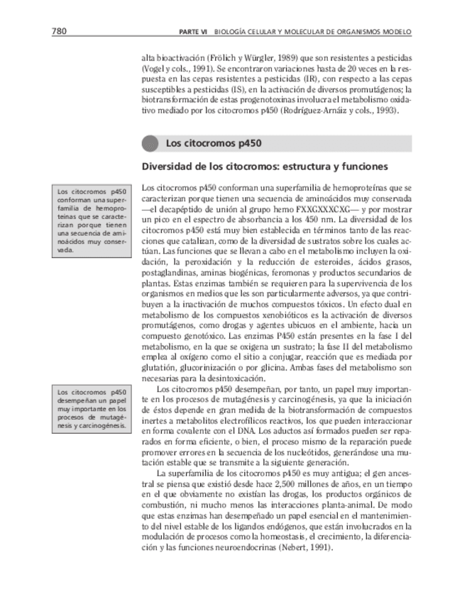 Miniatura del documento bma-165.pdf