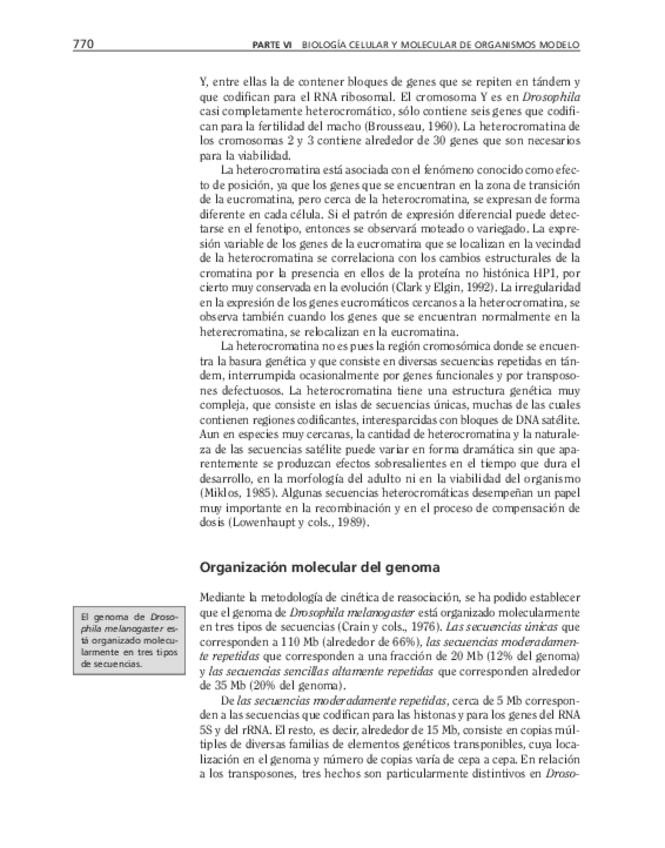 Miniatura del documento bma-163.pdf