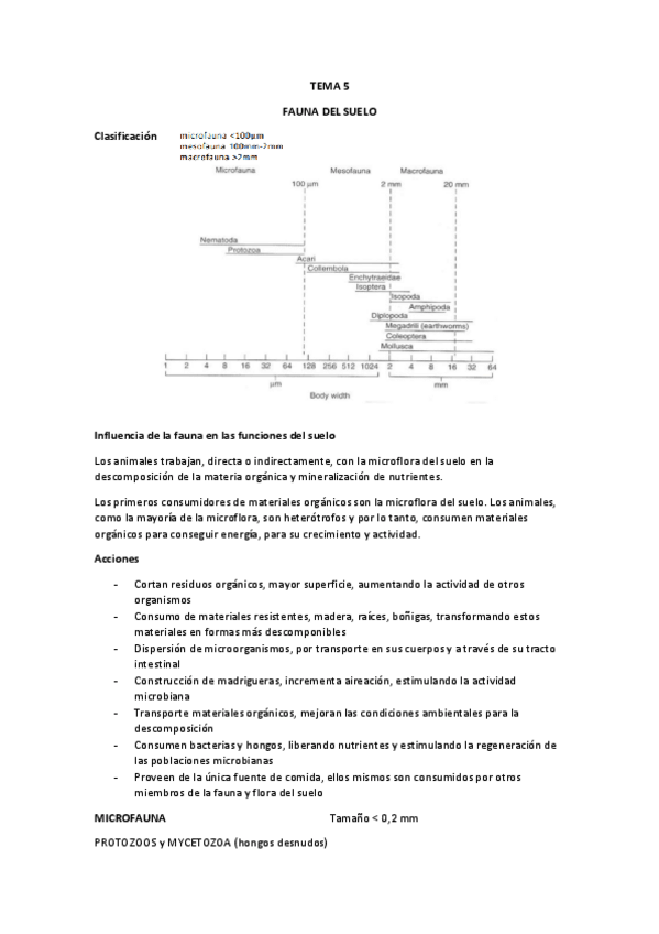 Miniatura del documento TEMA-5-FAUNA-DEL-SUELO.pdf