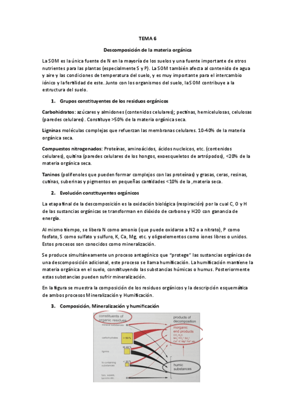 Miniatura del documento TEMA-6-DESCOMPOSICION-DE-LA-MATERIA-ORGANICA.pdf