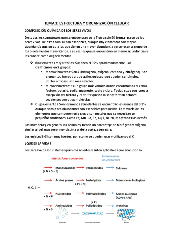 Miniatura del documento TEMA-1.pdf