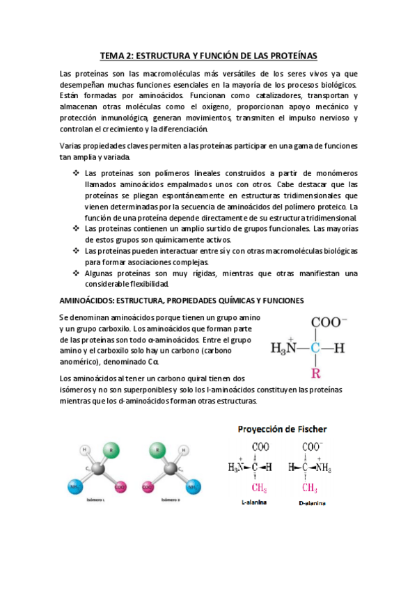 Miniatura del documento TEMA-2.pdf