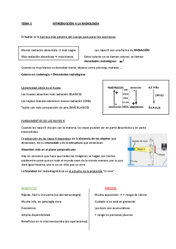 Miniatura del documento TEMA-1-INTRODUCCION-A-LA-RADIOLOGIA.pdf