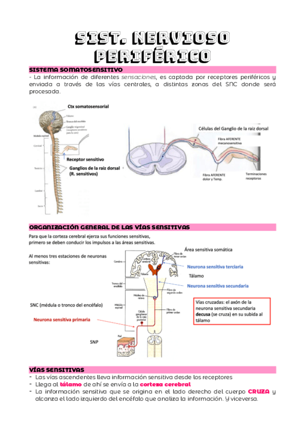 Miniatura del documento TEMA-4.1.pdf