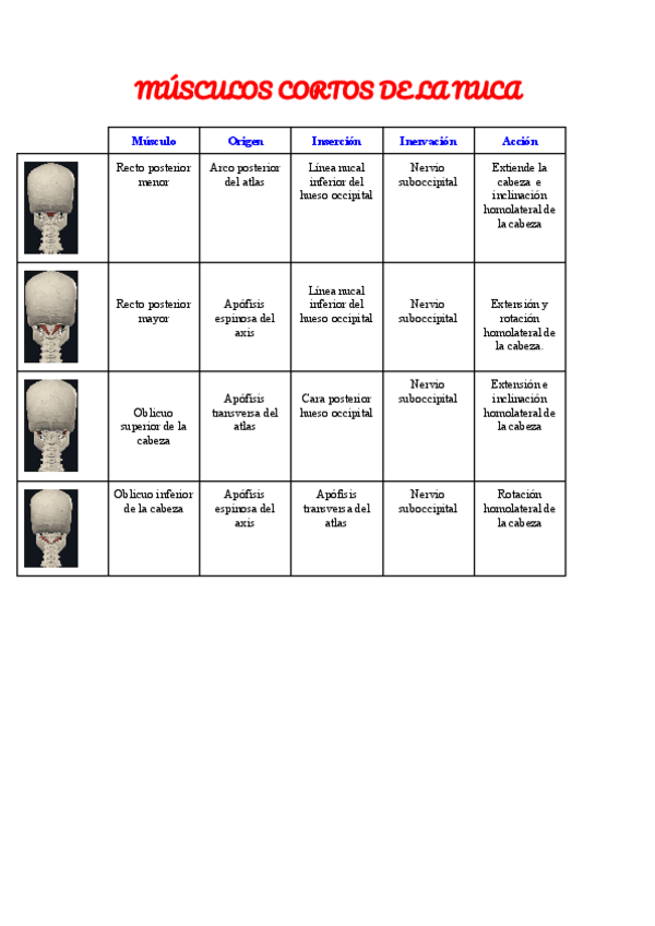 Miniatura del documento Musculos-cortos-de-la-nuca.pdf