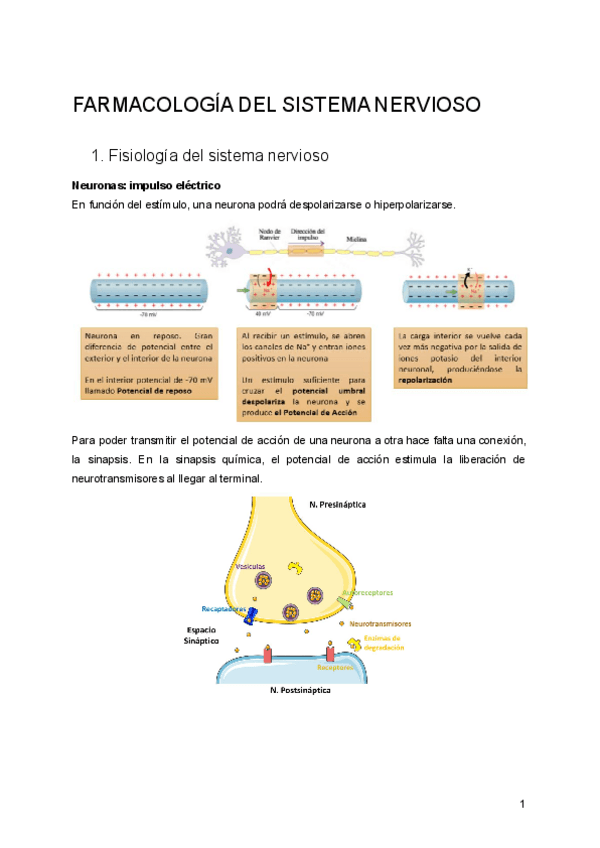 Miniatura del documento Tema-5.-Farmacologia-del-sistema-nervioso.pdf