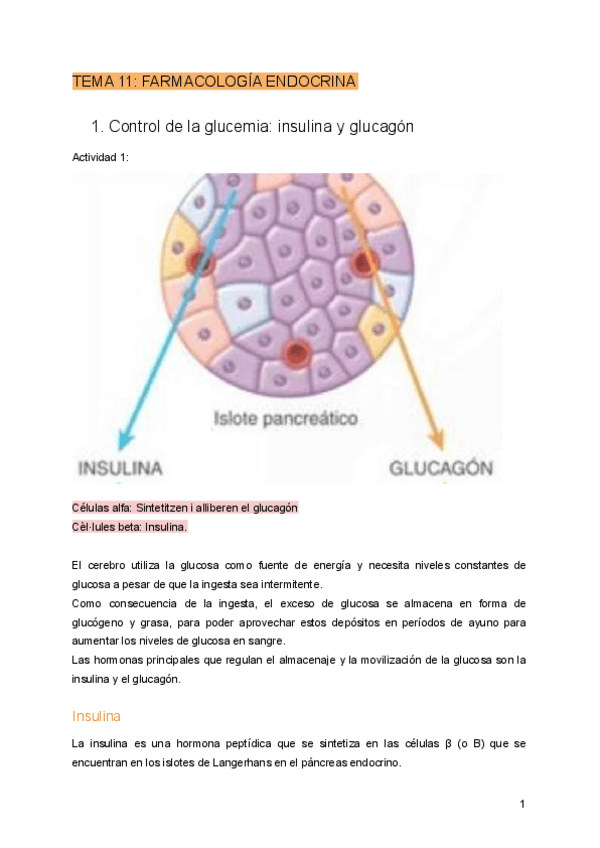 Miniatura del documento Tema-11.-Farmacologia-endocrina.pdf