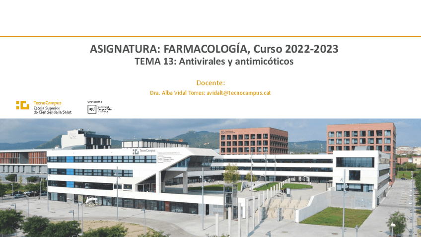 Miniatura del documento T13.-Antivirals-i-antimicAtics.pdf