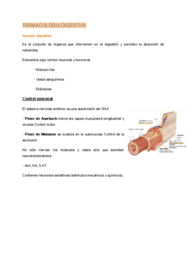 Miniatura del documento Tema-4.-Farmacologia-digestiva-y-hipolipemiantes.pdf
