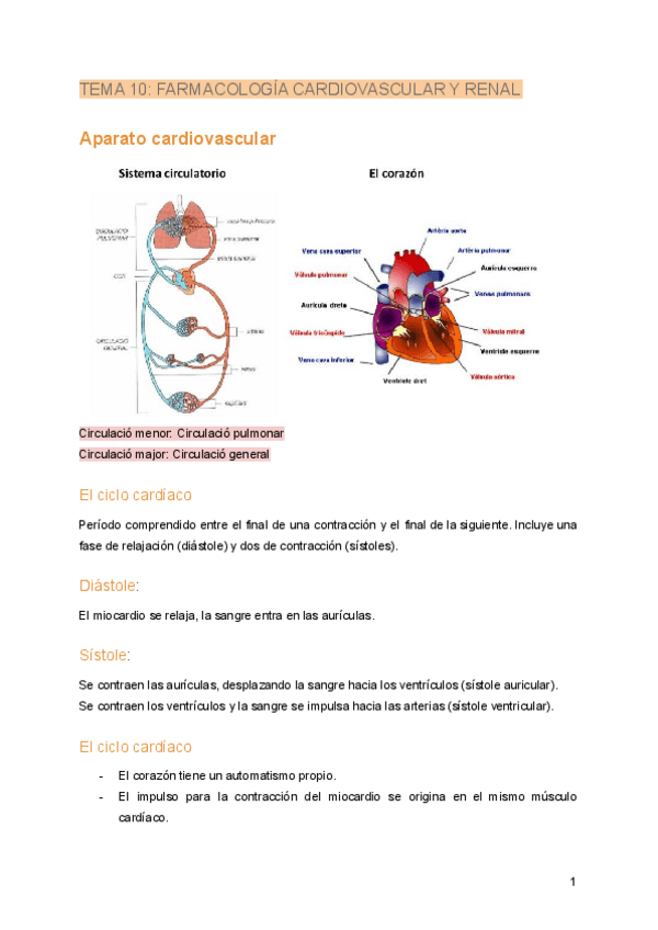 Miniatura del documento Tema-10.-Farmacologia-cardiovascular-y-renal.pdf