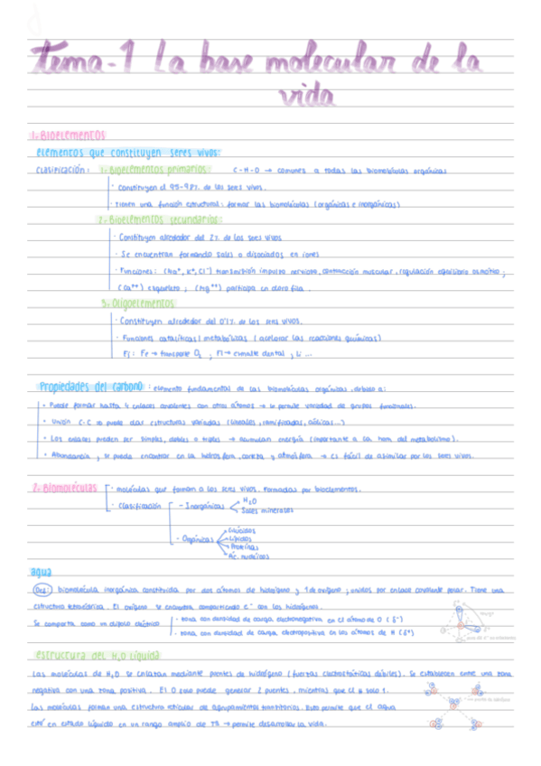 Miniatura del documento tema-1-la-base-molecular-de-la-vida.pdf