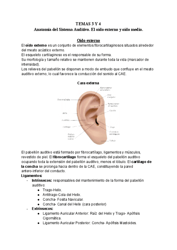 Miniatura del documento TEMAS-3-Y-4..pdf