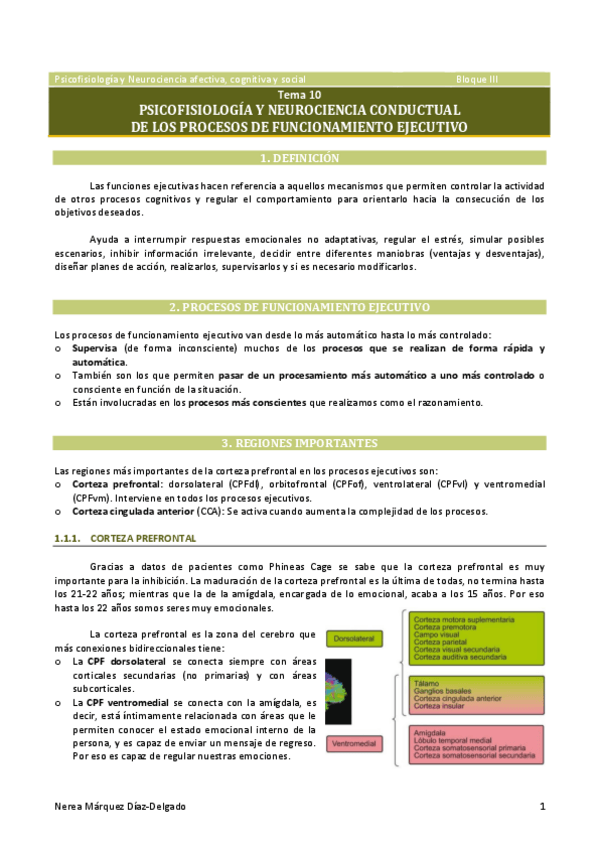 Miniatura del documento Tema-10.-Psicofisiologia-y-neurociencia-conductual-de-los-procesos-de-funcionamiento-cognitivo.pdf
