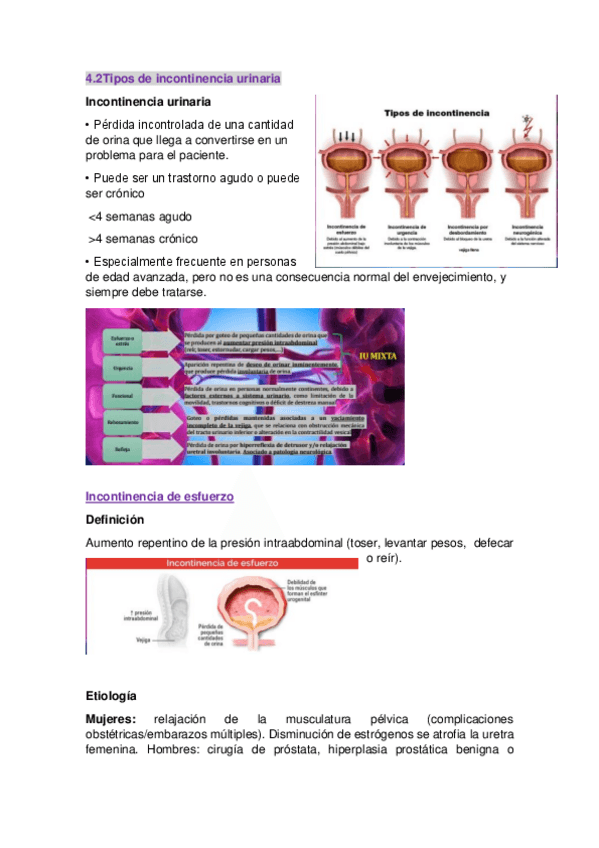 Miniatura del documento 4.2Tipos-de-incontinencia-urinaria.pdf