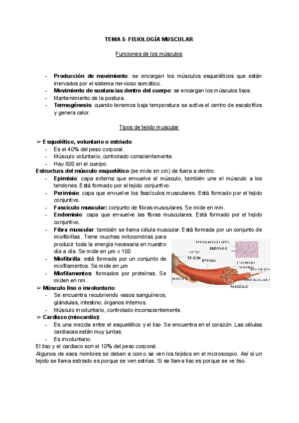 Miniatura del documento Tema-5-fisio.pdf