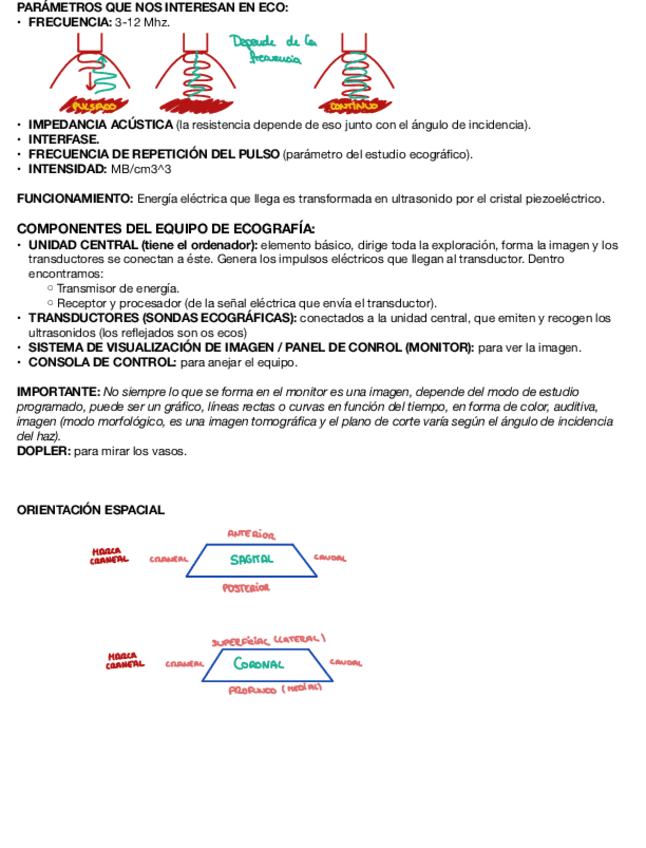 Miniatura del documento Ecografia.pdf