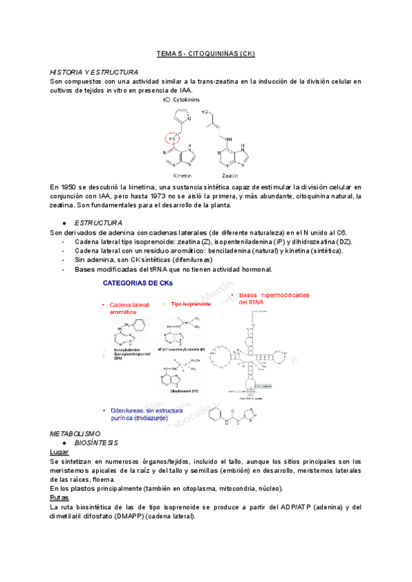 Miniatura del documento Tema-5-Citoquininas-CK.pdf