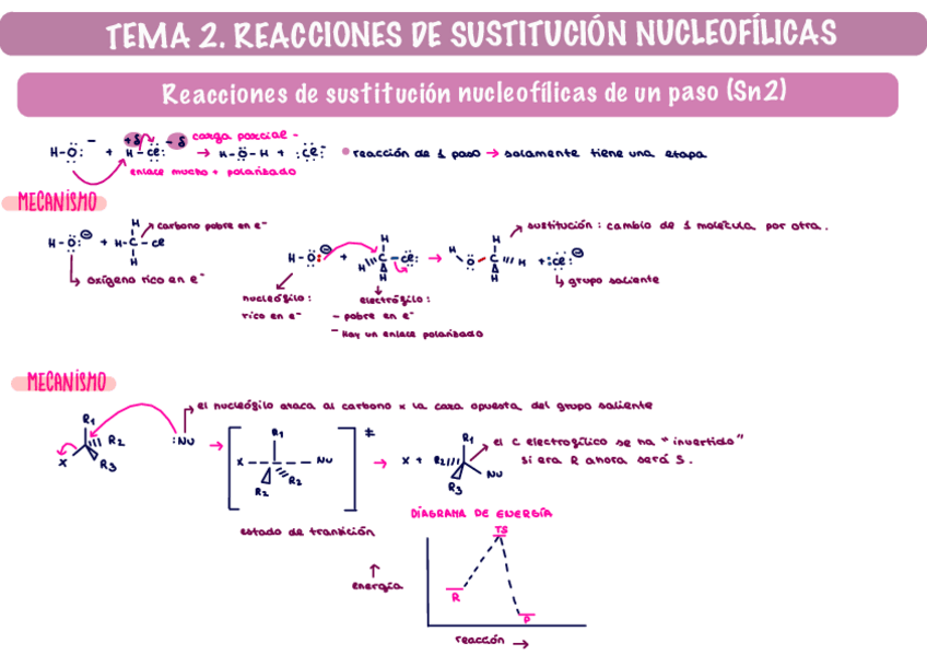 Miniatura del documento Tema-2-quimica-organica.pdf