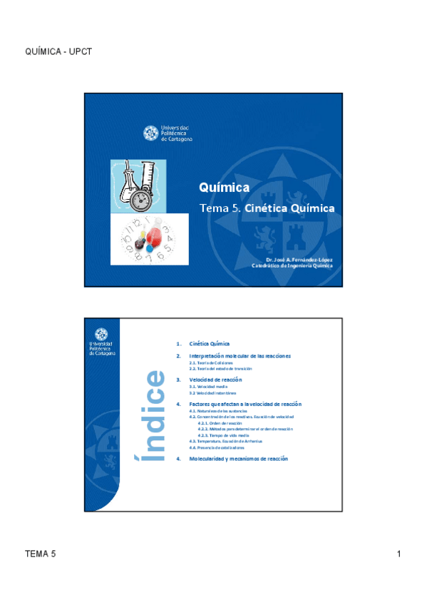 Miniatura del documento Tema-05Cinetica-Quimica.pdf