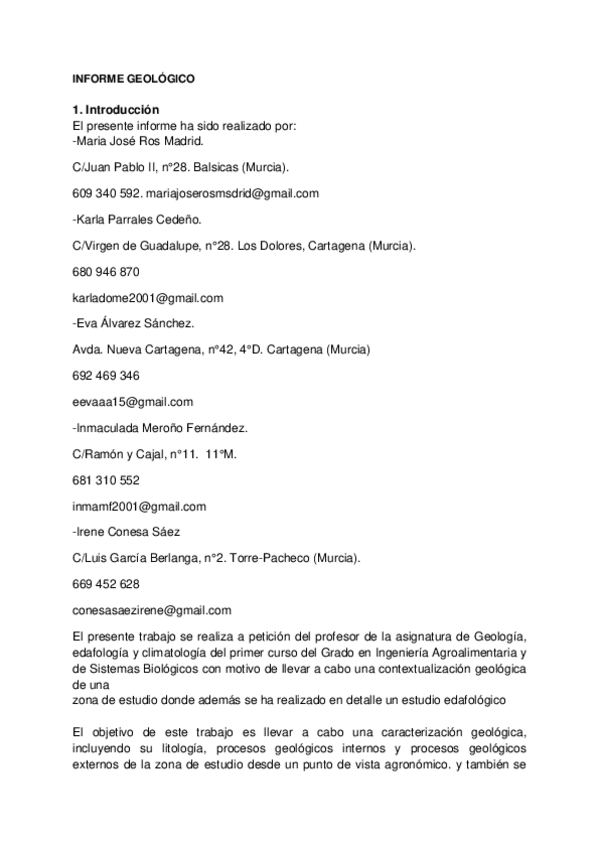 Miniatura del documento INFORME-GEOLOGICO-1.pdf