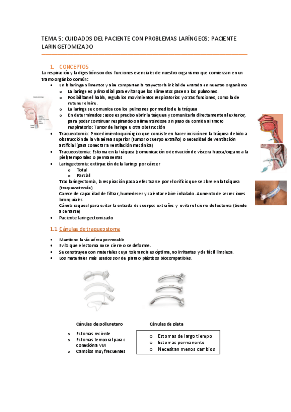 Miniatura del documento Tema 5 Cuidados al paciente laringetomizado.pdf