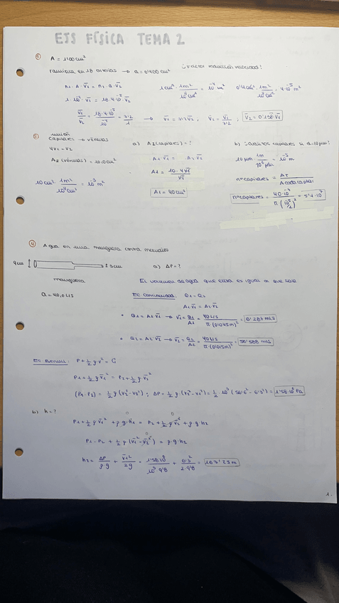 Miniatura del documento Ejs-Fisica-Tema2.pdf