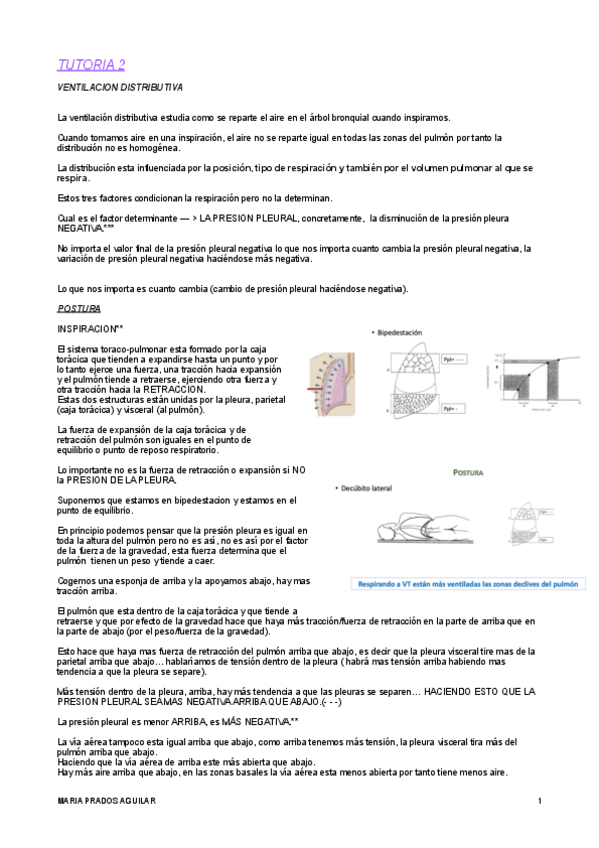 Miniatura del documento TUTORIA-2.pdf