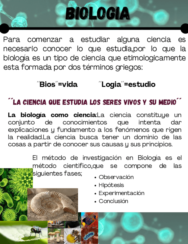 Miniatura del documento BIOLOGIA.pdf