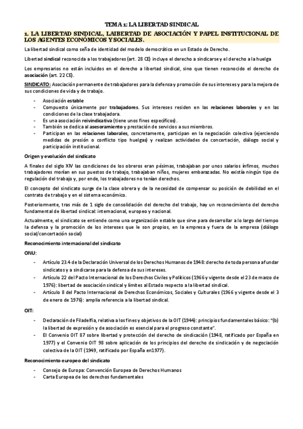 Miniatura del documento TEMA-1.pdf